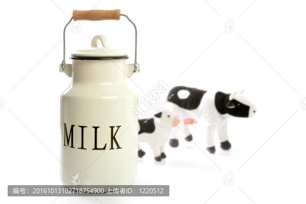 牛奶壺白壺傳統(tǒng)農(nóng)民風格