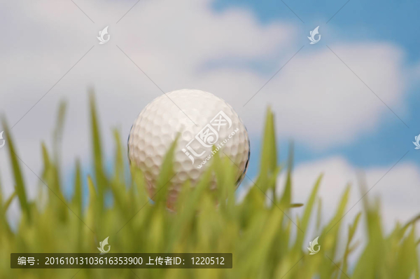 高爾夫球和綠草對抗藍天