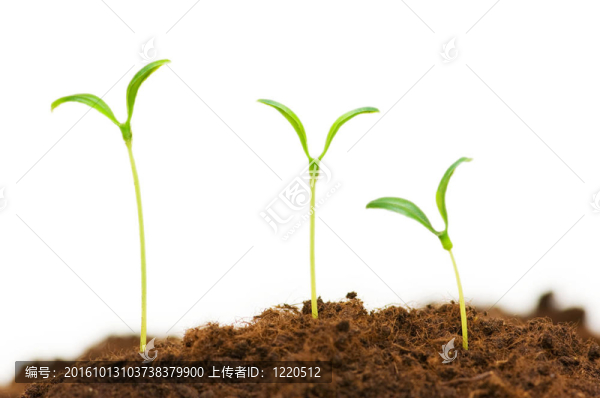三苗說明新生活的概念
