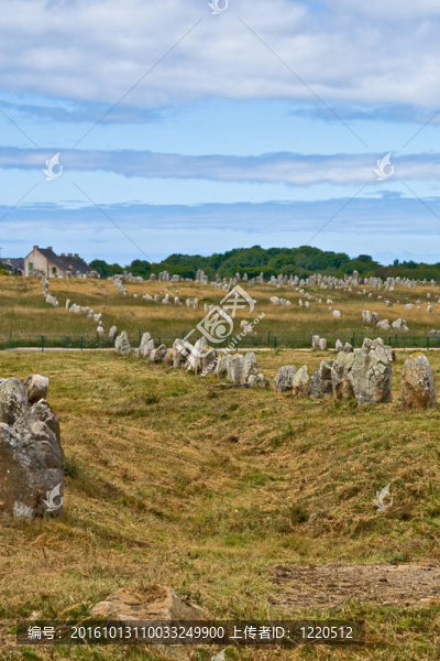 史前巨石石柱排列在卡爾納克；布列塔尼地區(qū)；法國