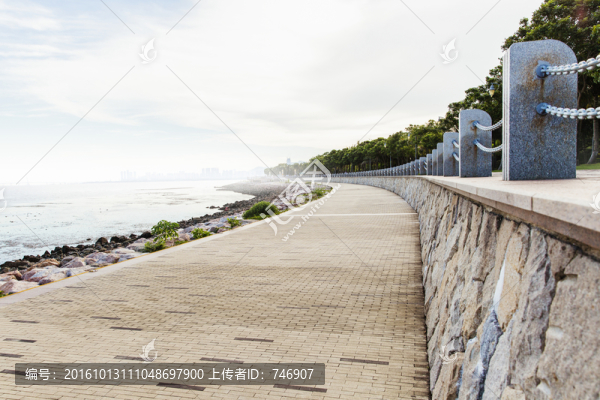 深圳灣公園步道