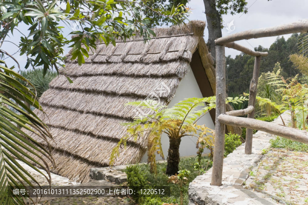 用植物園