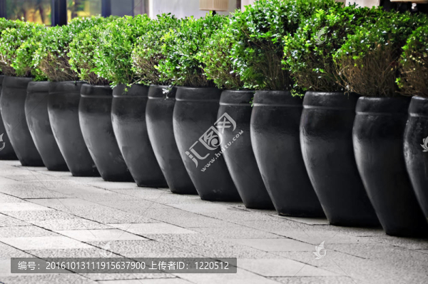 盆花