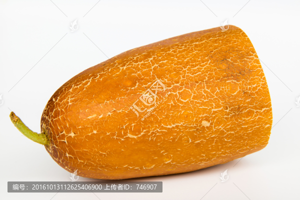 老黃瓜