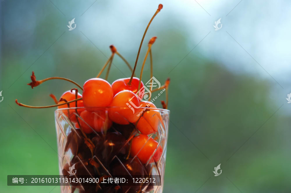 櫻桃