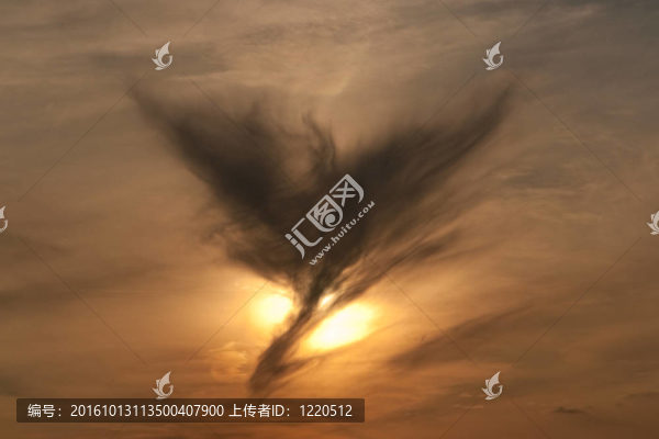 蝴蝶形狀的云