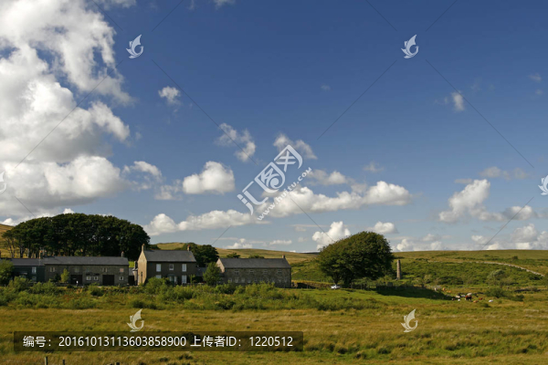 達(dá)特穆爾；Devon；英國；康沃爾