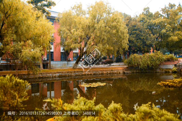 湖南大學(xué)