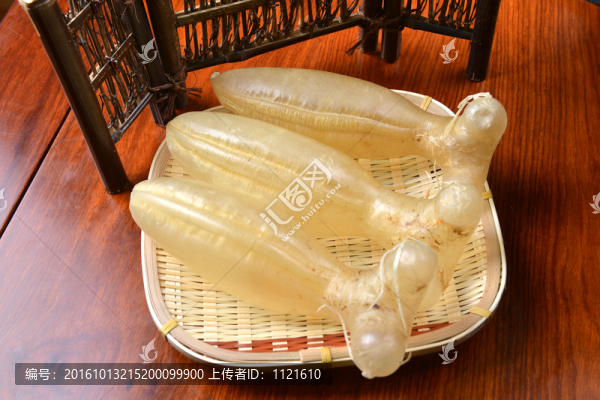 魚肚