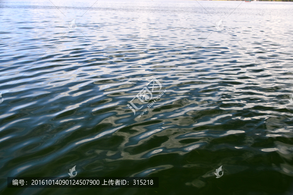 水紋,花紋