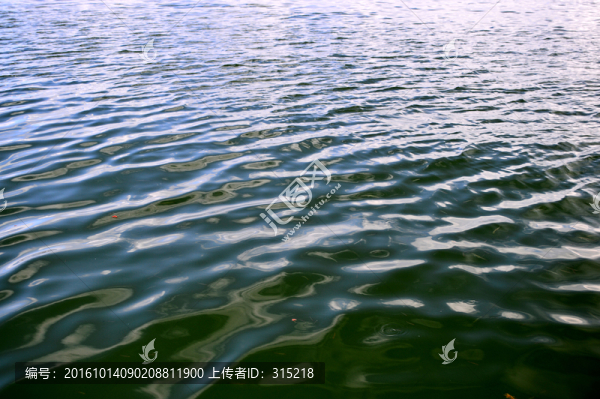 水紋,花紋