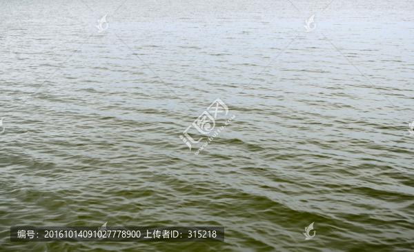 水紋,波紋
