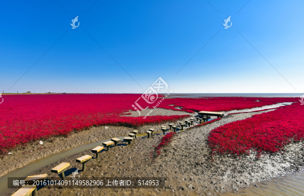 紅海灘風(fēng)光
