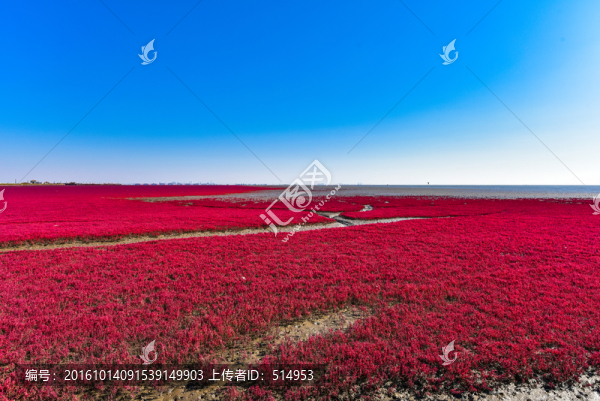 紅海灘