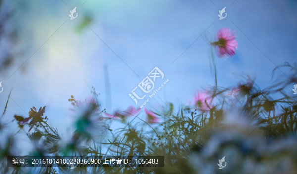 格?；? title=