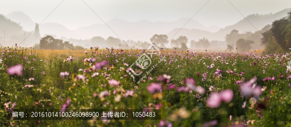 格?；? title=