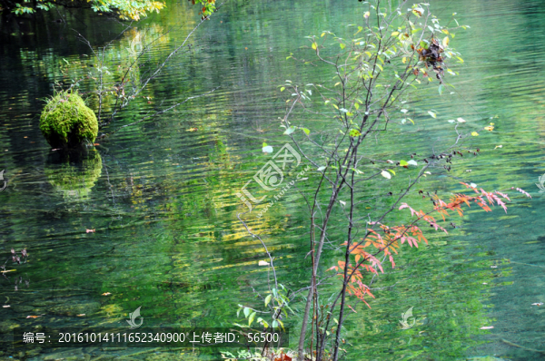 九寨溝