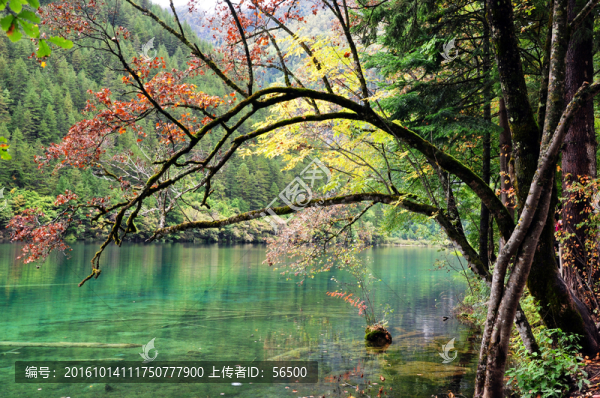 九寨溝