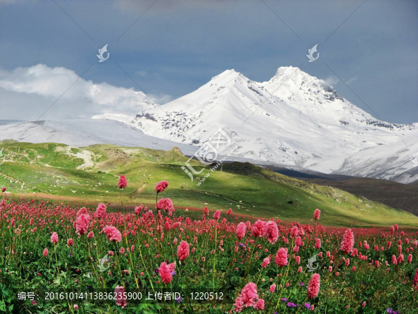 高加索山脈。