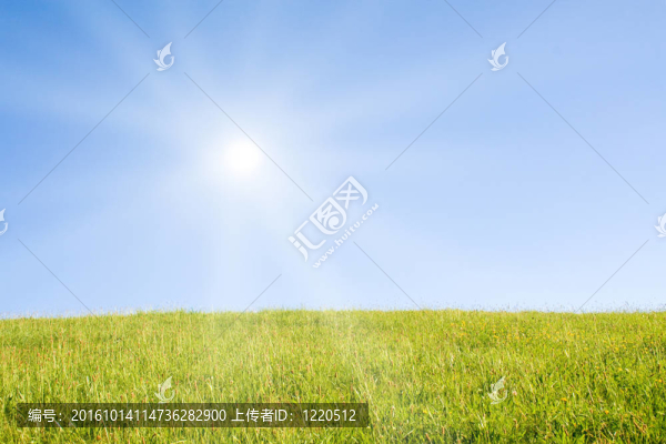 陽光的田園詩般的草坪