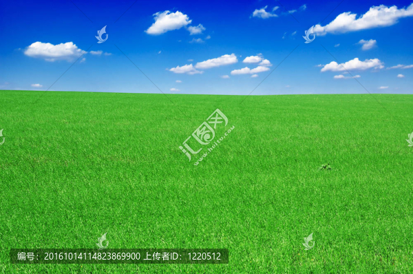 綠色的田野