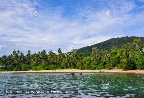 海邊樹林