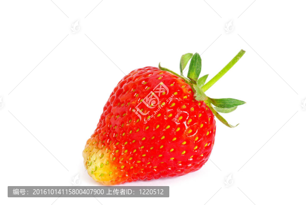 草莓