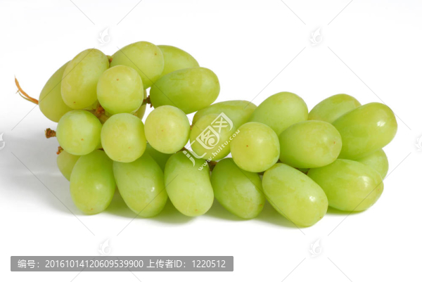 葡萄
