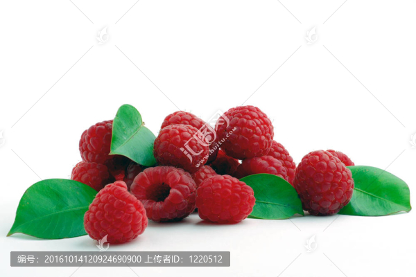 覆盆子