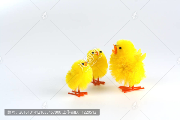 三黃色的小雞