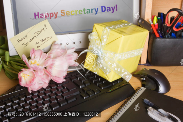 屏幕上的秘書