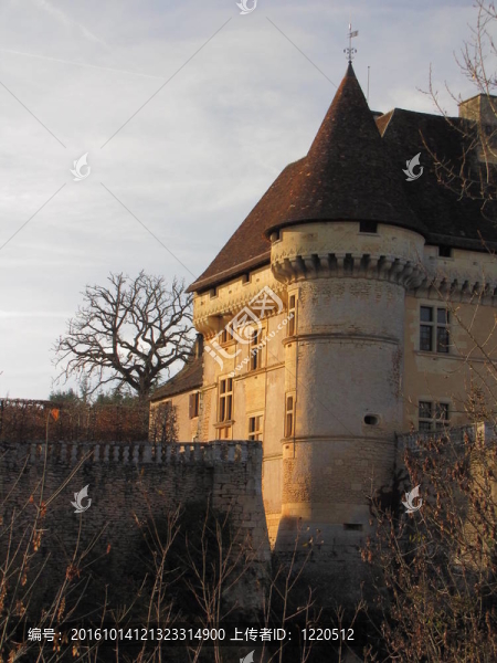 城堡；損失；谷vezere