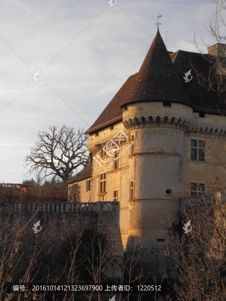 城堡；損失；谷vezere
