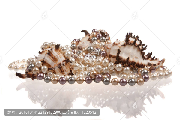 美麗的大海的小船