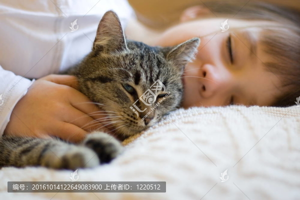 可愛的女孩打盹的貓