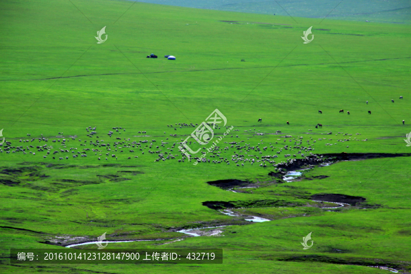 草原牧場羊群河流