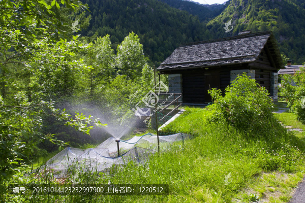 這是花園里的噴灌機(jī)