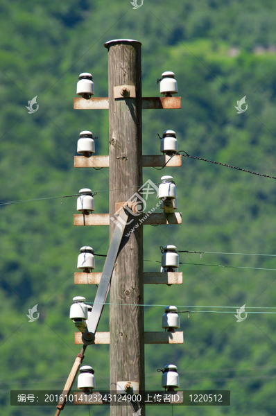 木電桿
