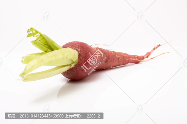 紅色的白蘿卜