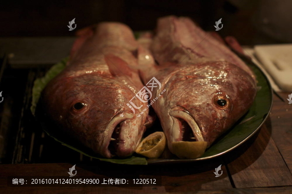 魚菜