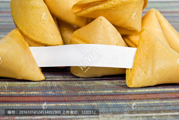 填補(bǔ)空白