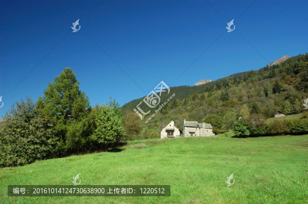 夏季芒廷村景觀