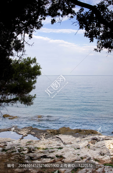 Mediterranean海岸