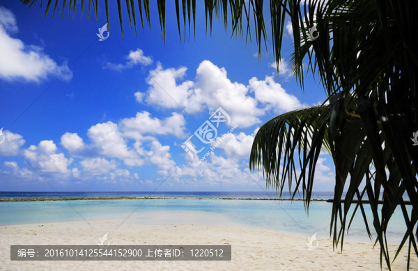 海灘場(chǎng)景
