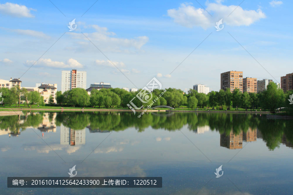 城市公園的夏天