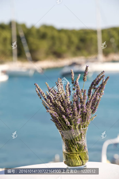 花瓶里的薰衣草
