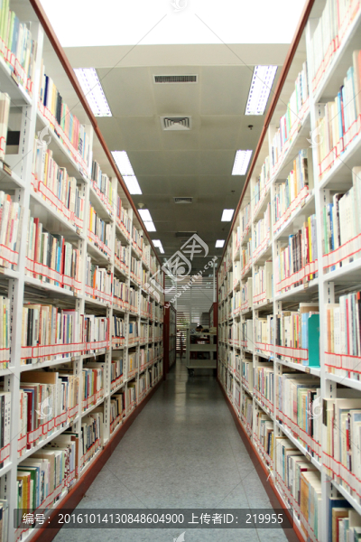 圖書館藏書