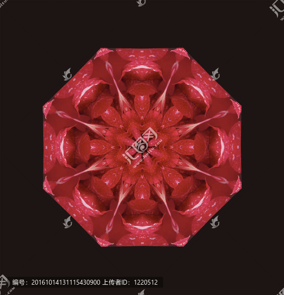 紅色的圣誕星