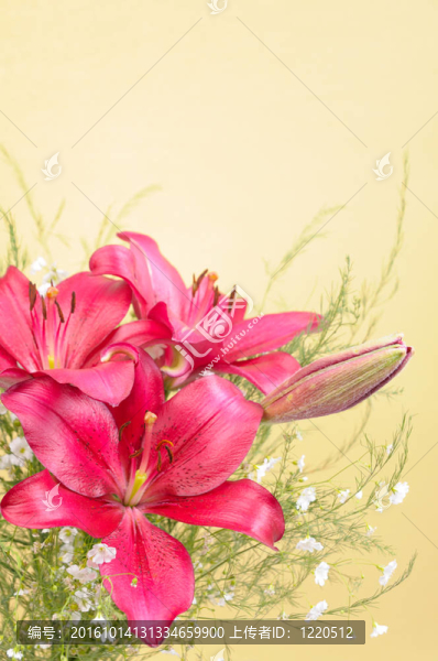 百合花花束