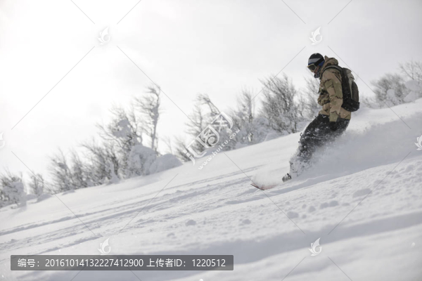 自由式滑雪